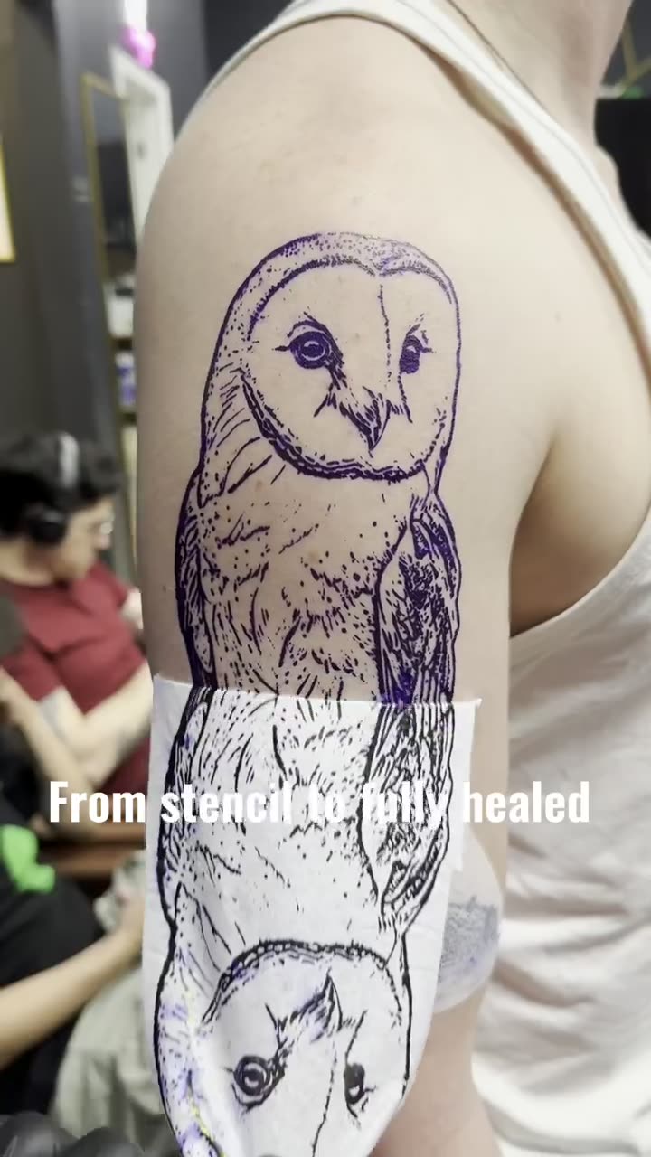 Video showing an owl tattoo from stencil placement through to the fully healed piece